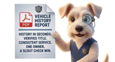 VIN report audit